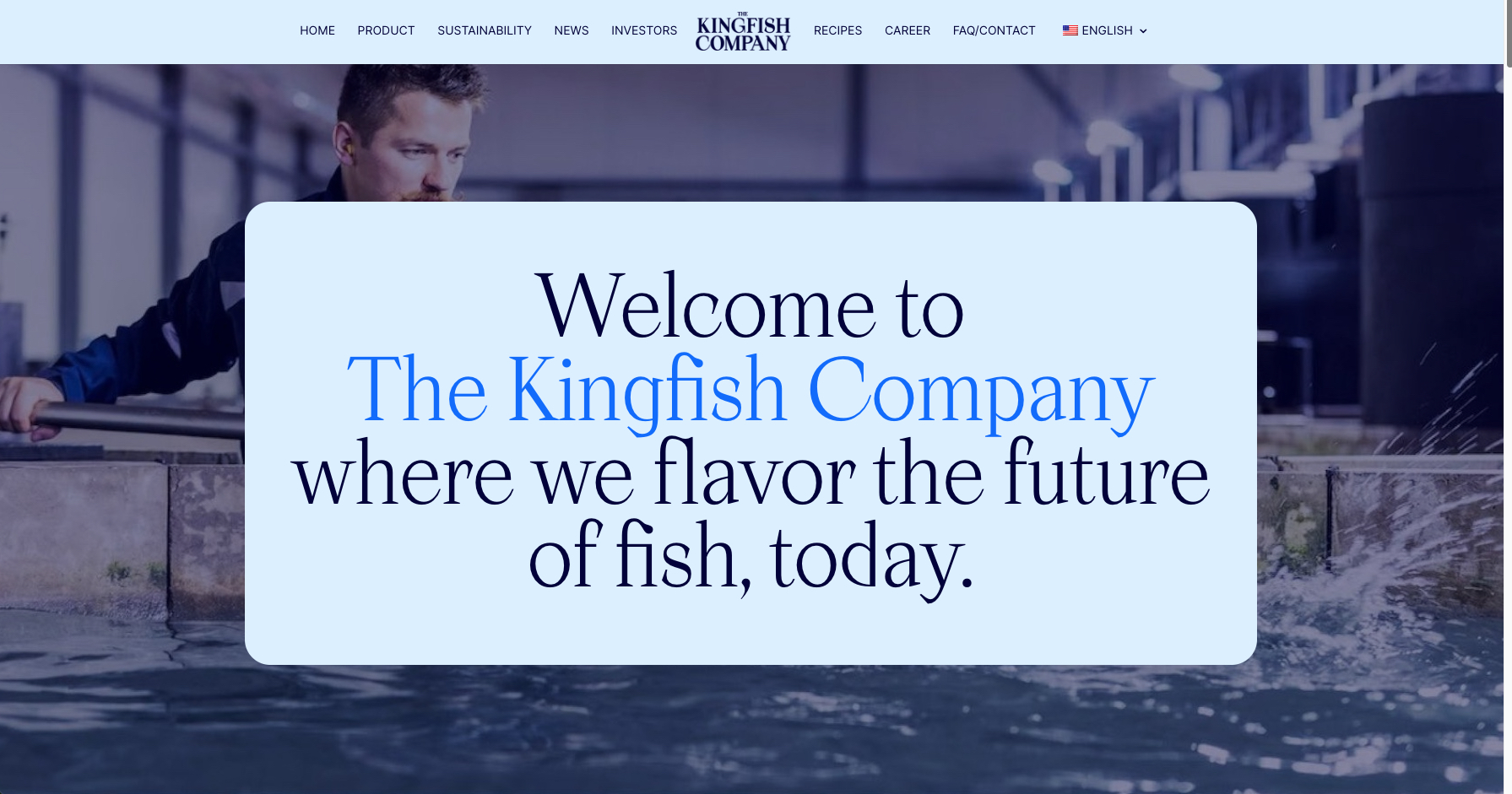 The Kingfish Company